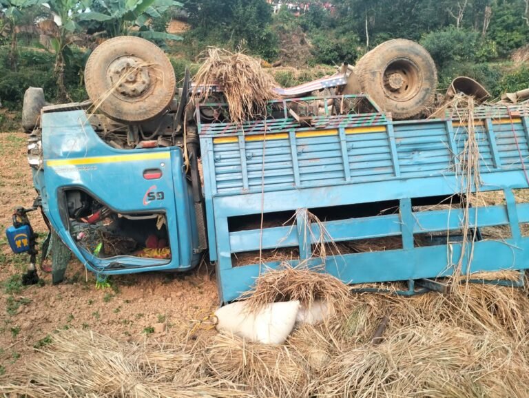 पराल बोकेको ट्रक दुर्घटनामा मृतकको संख्या चार पुग्यो